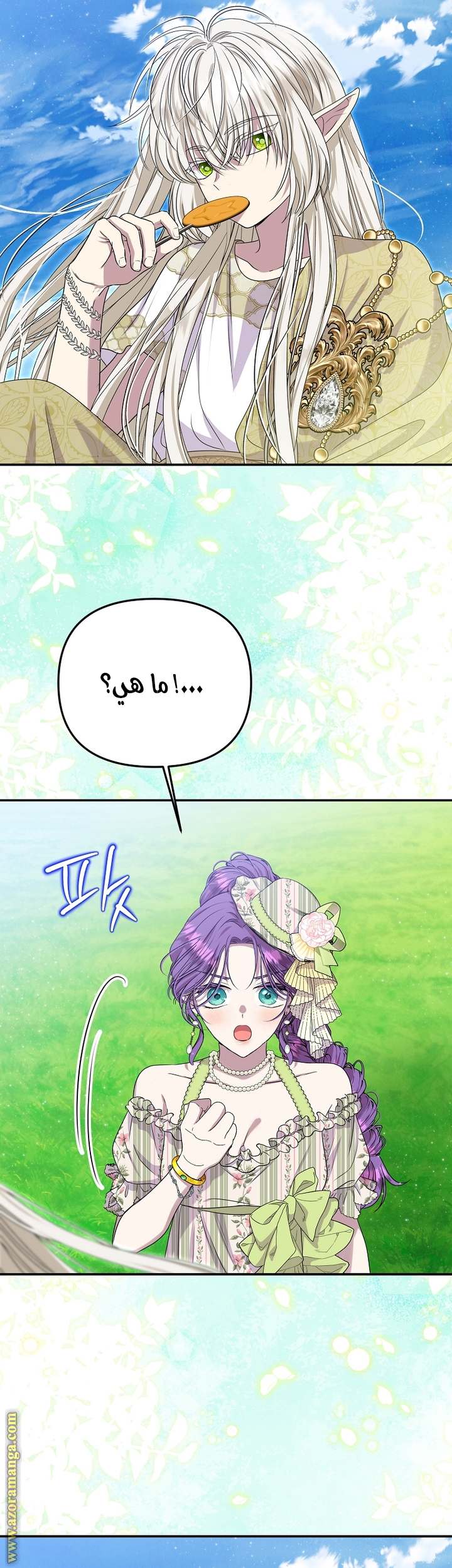 الصفحة 46