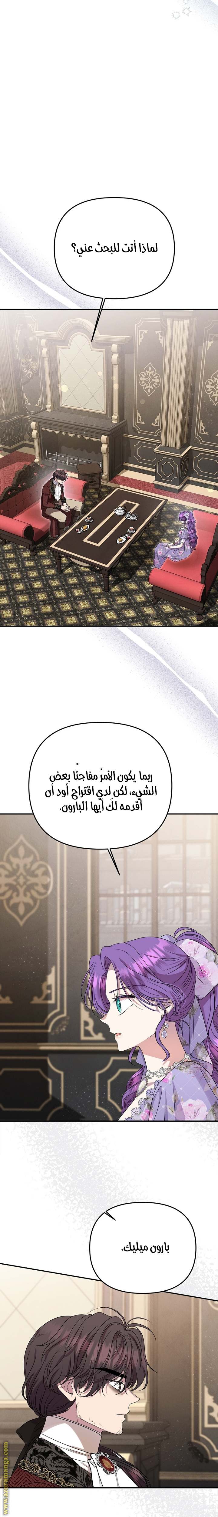 الصفحة 17