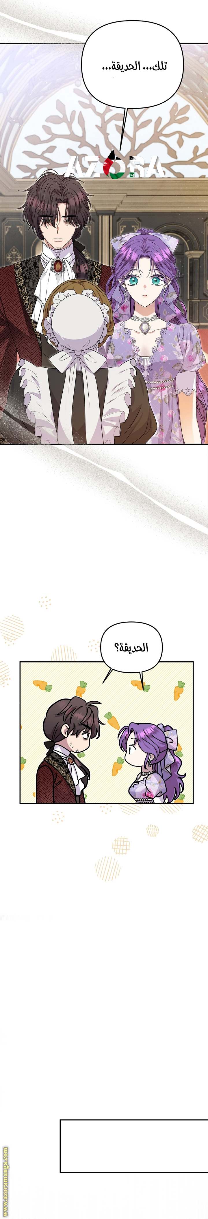 الصفحة 29