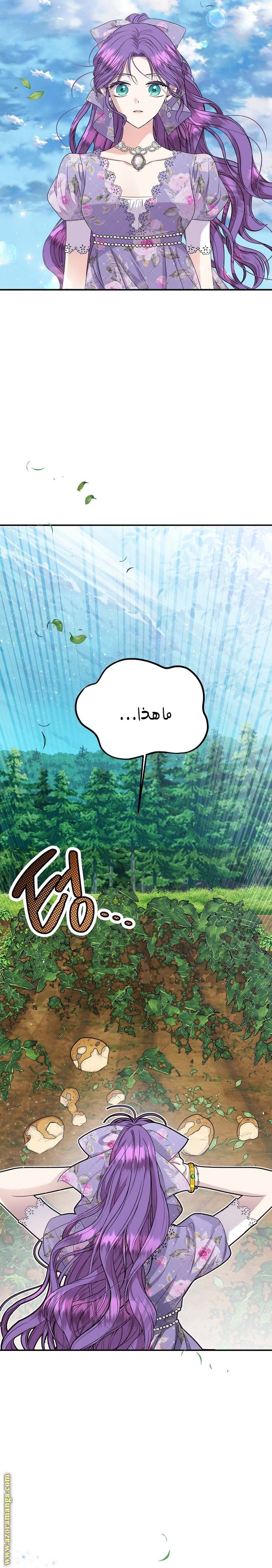 الصفحة 31