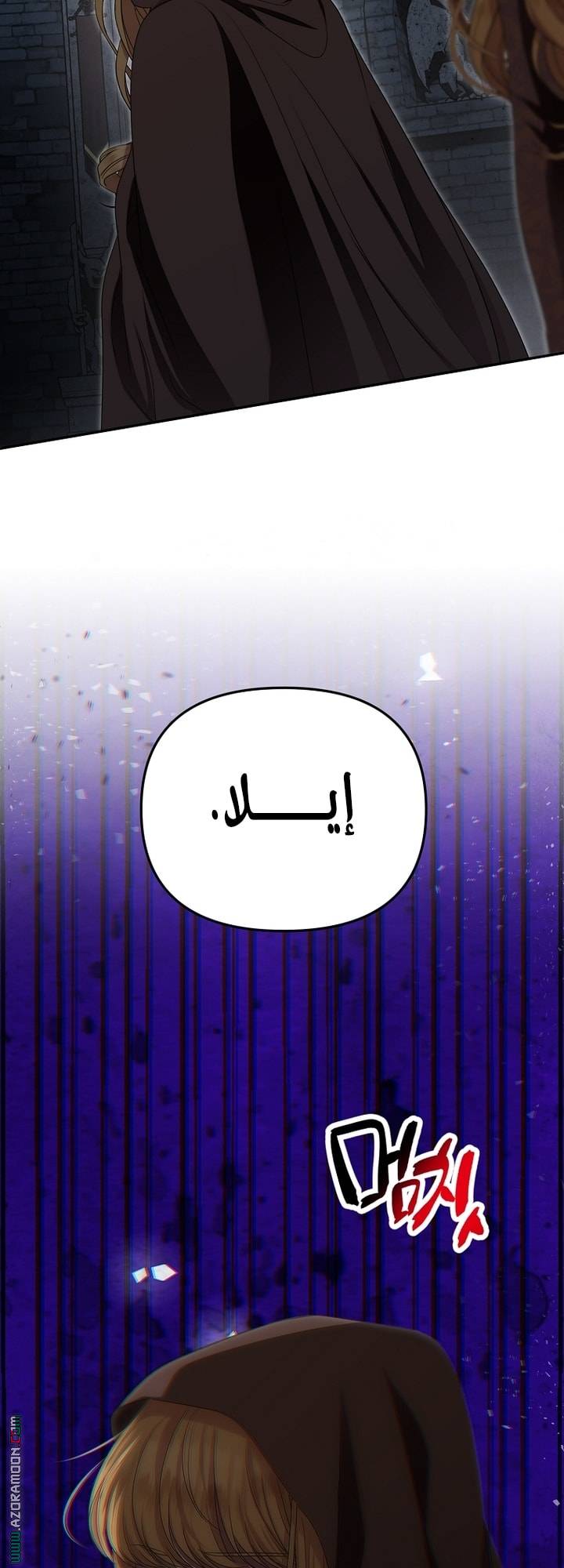 الصفحة 17