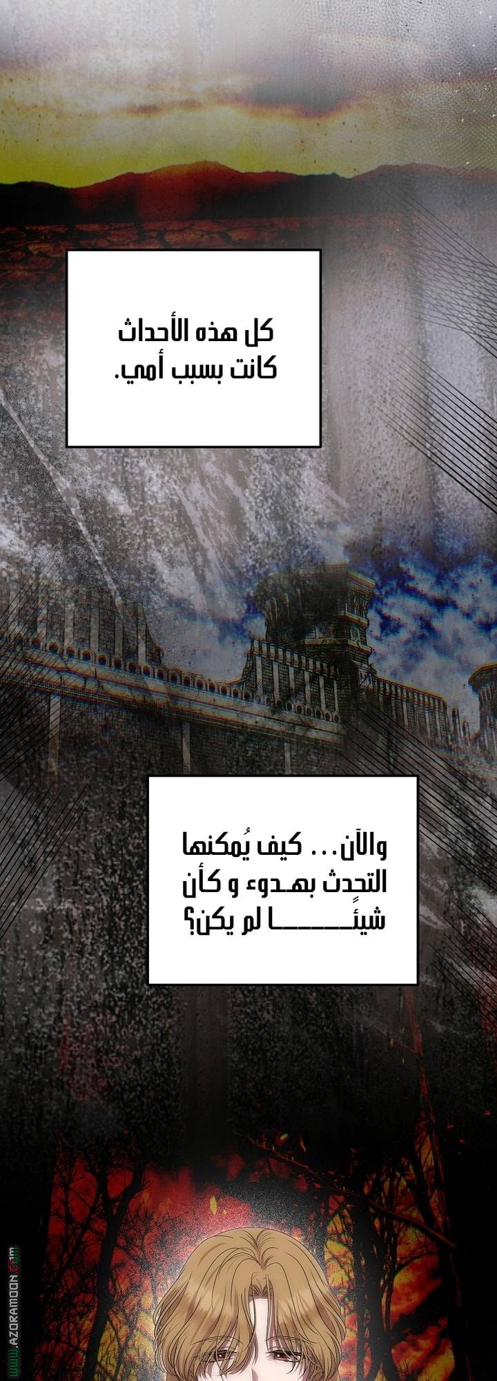 الصفحة 26