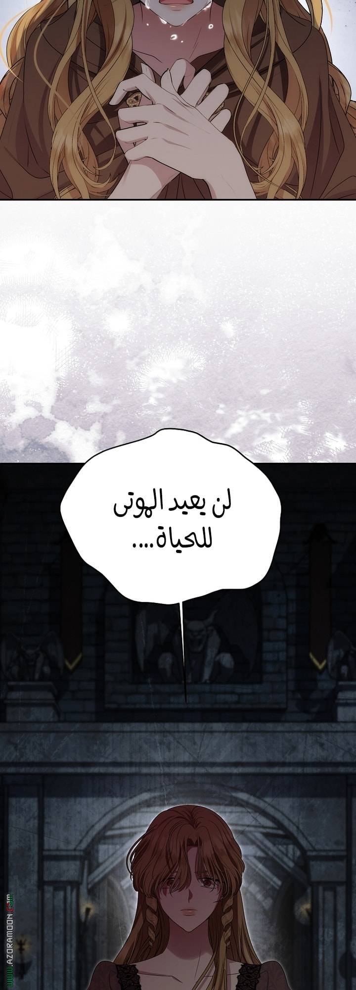 الصفحة 29