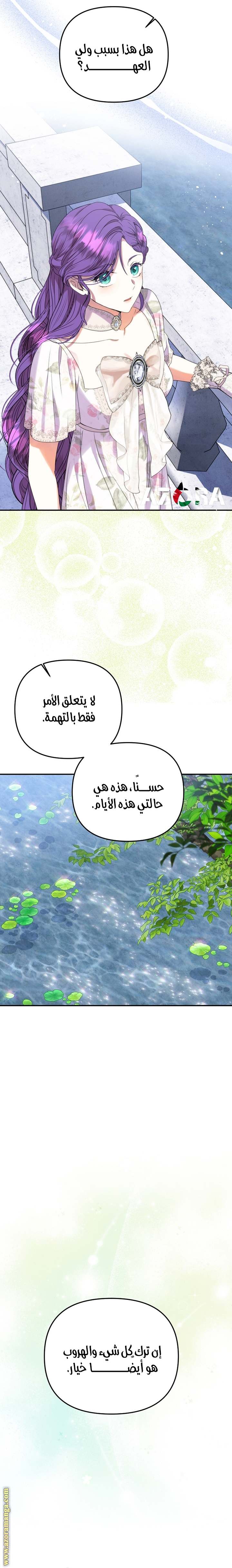 الصفحة 24