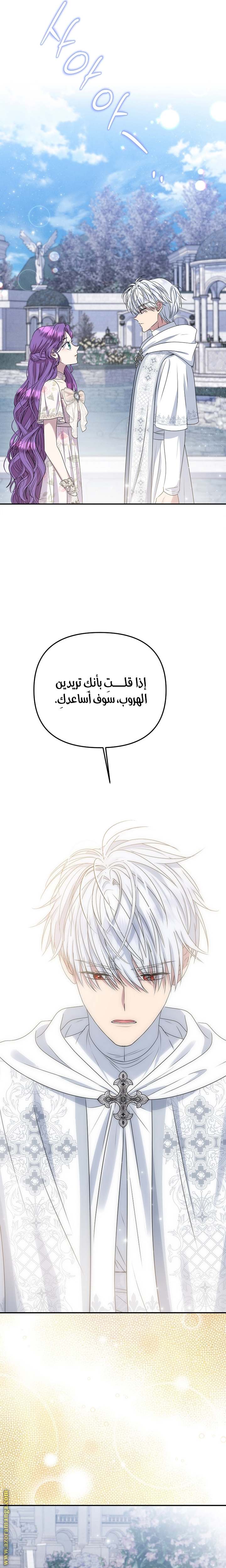 الصفحة 25
