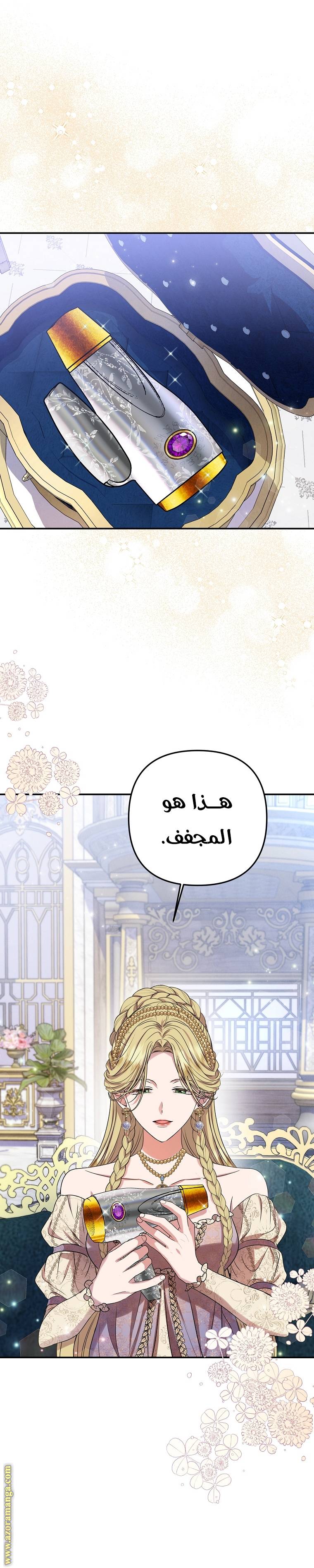 الصفحة 17