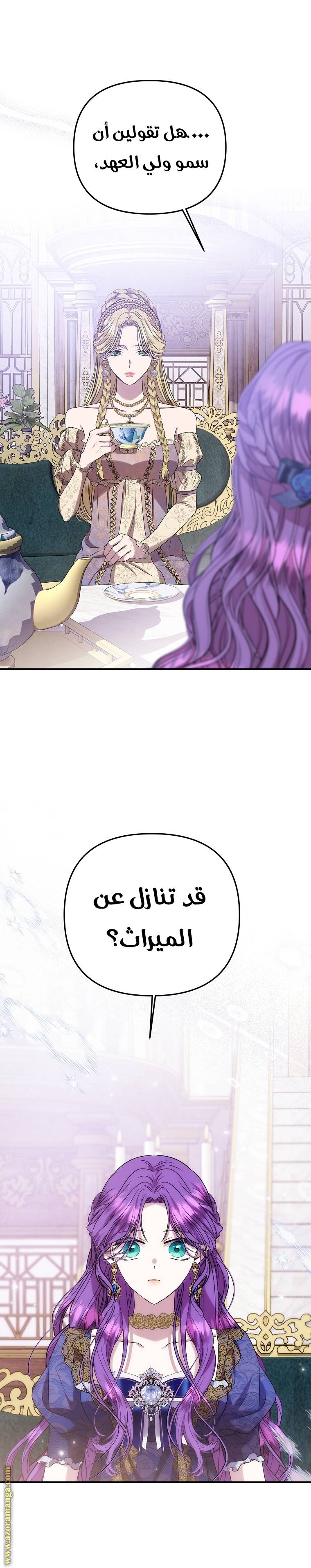 الصفحة 25