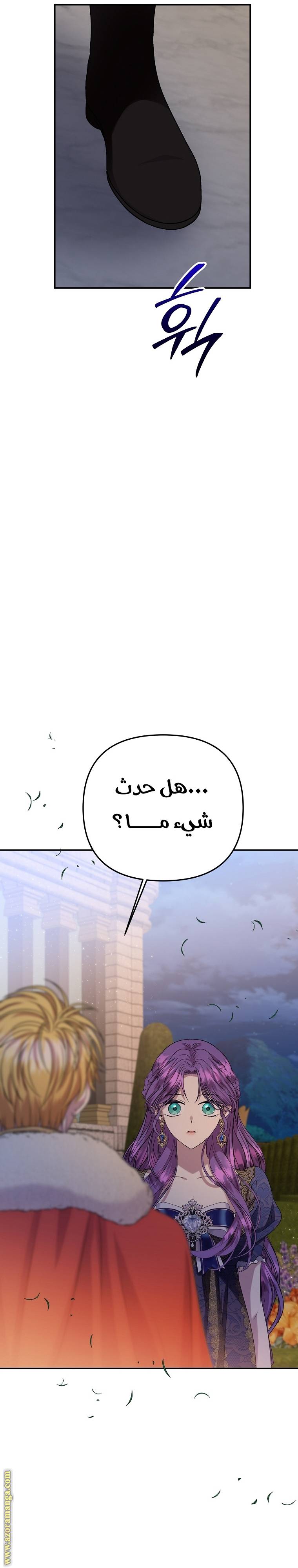 الصفحة 13