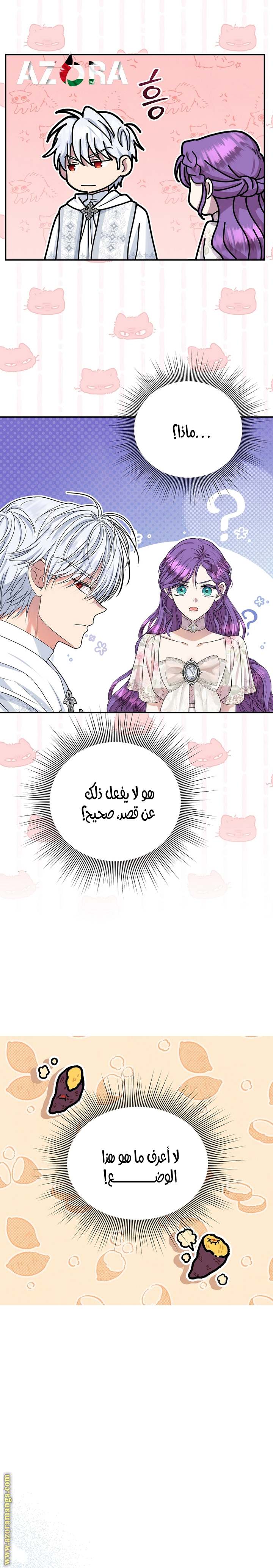 الصفحة 3