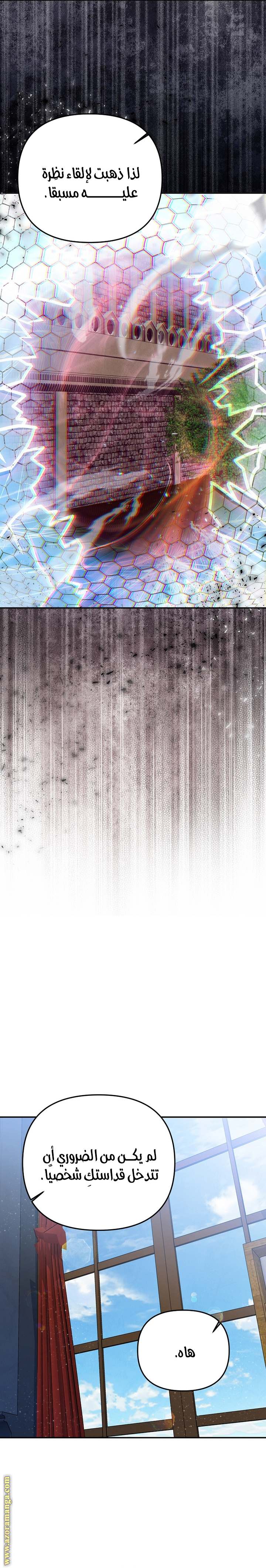 الصفحة 19