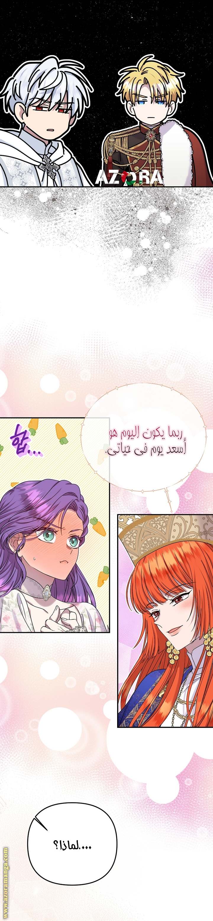 الصفحة 25