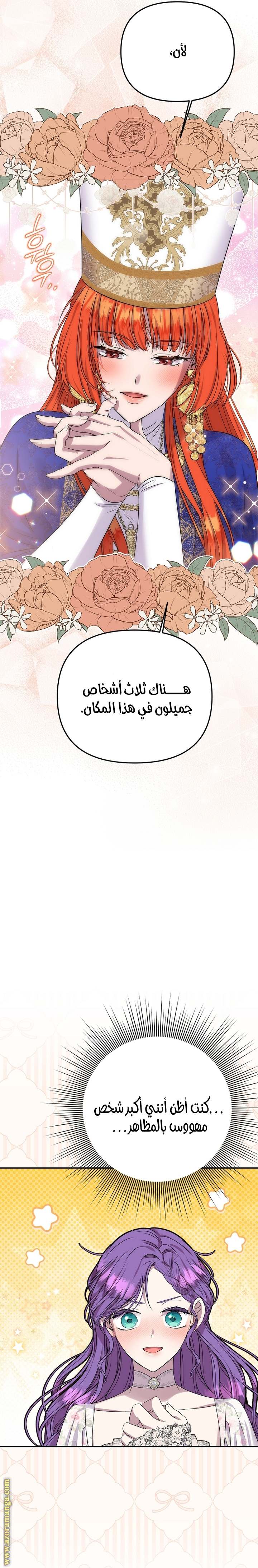 الصفحة 26