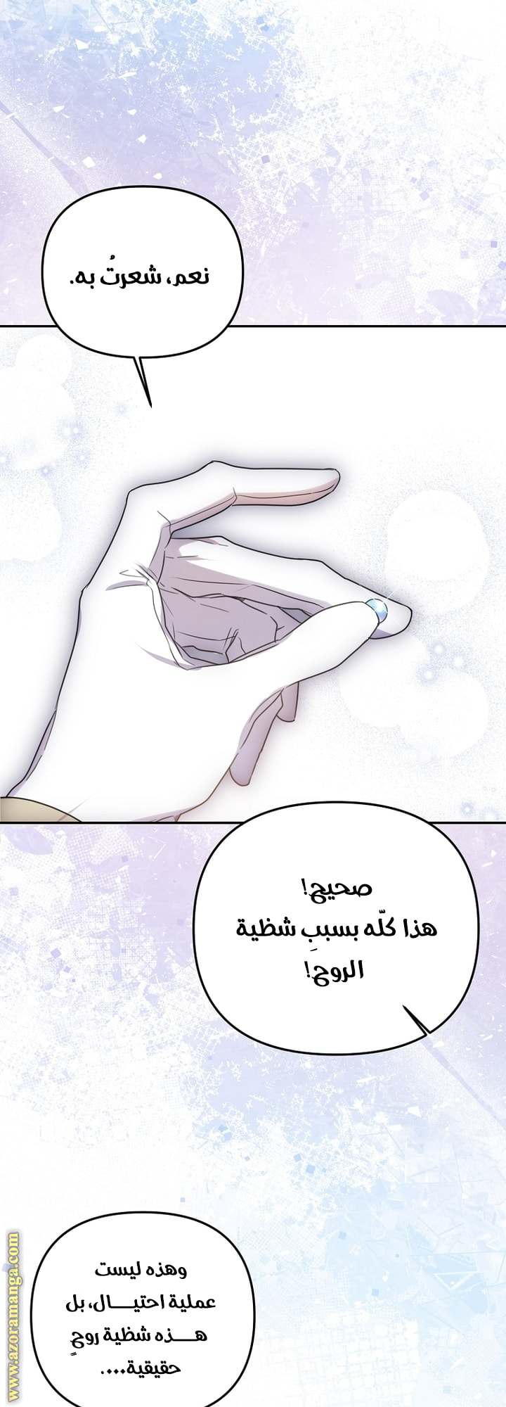 الصفحة 14