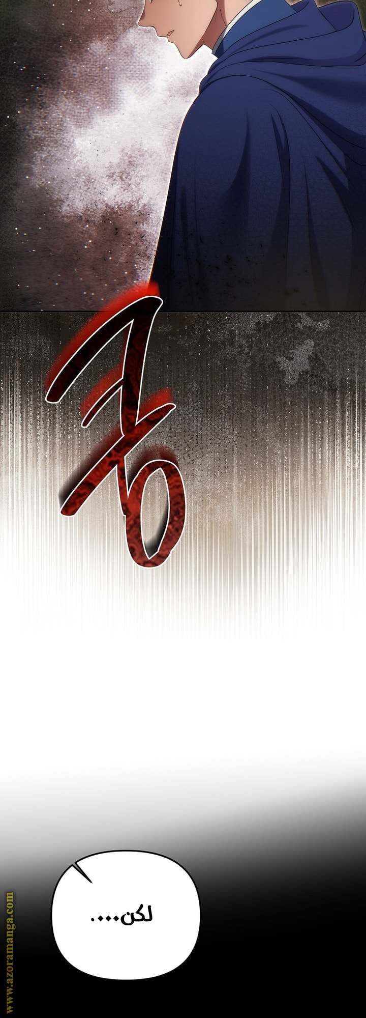 الصفحة 46