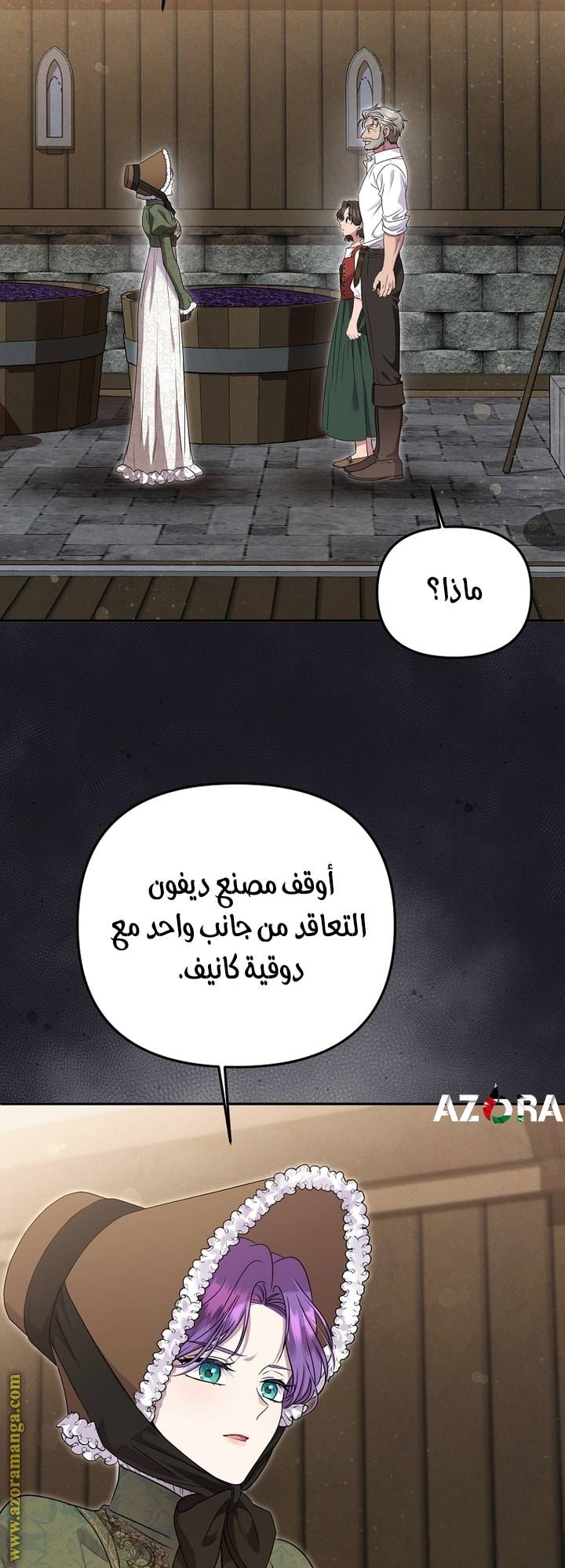 الصفحة 25