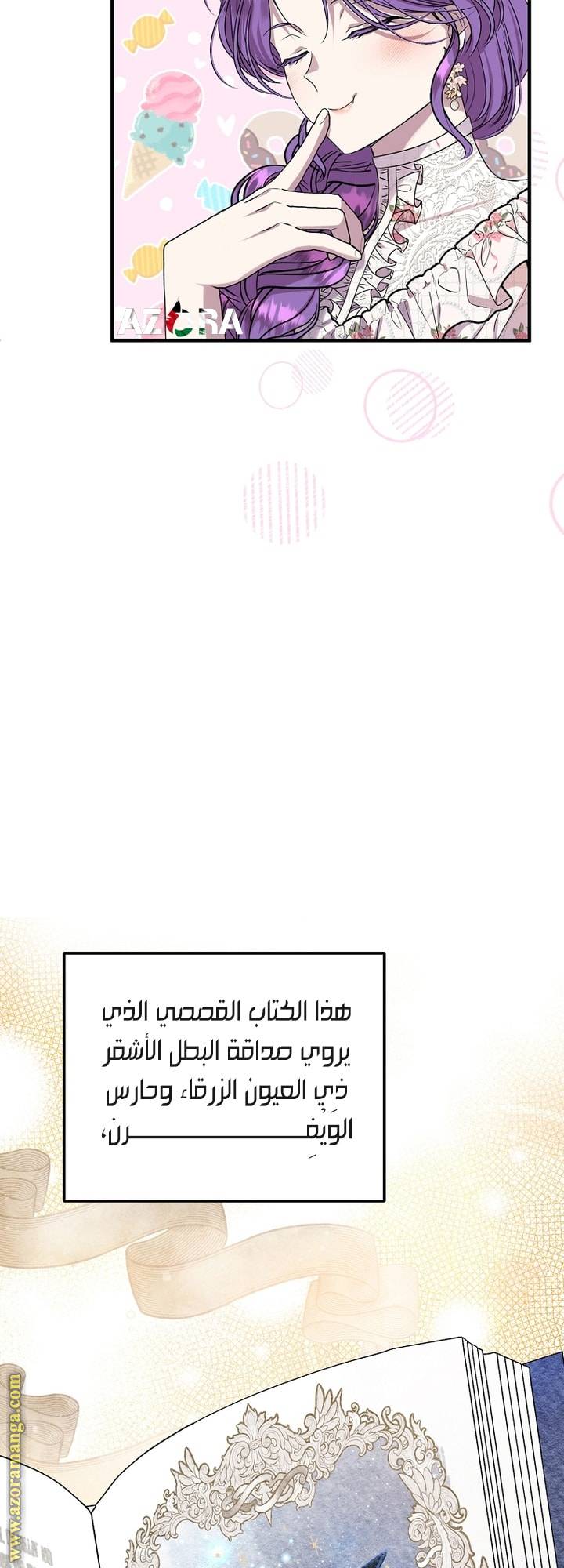 الصفحة 27