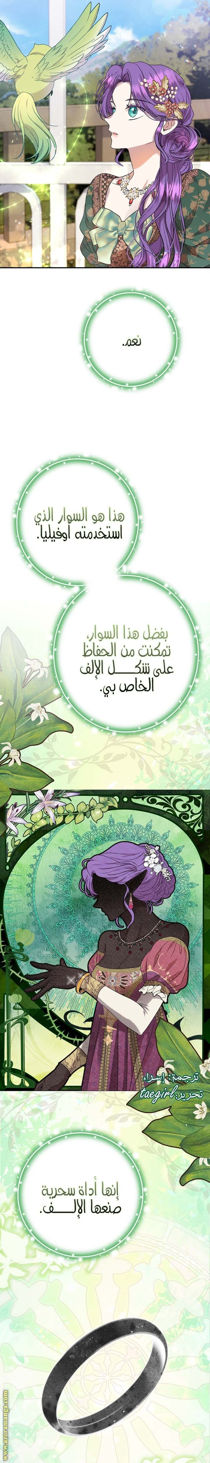 الصفحة 24