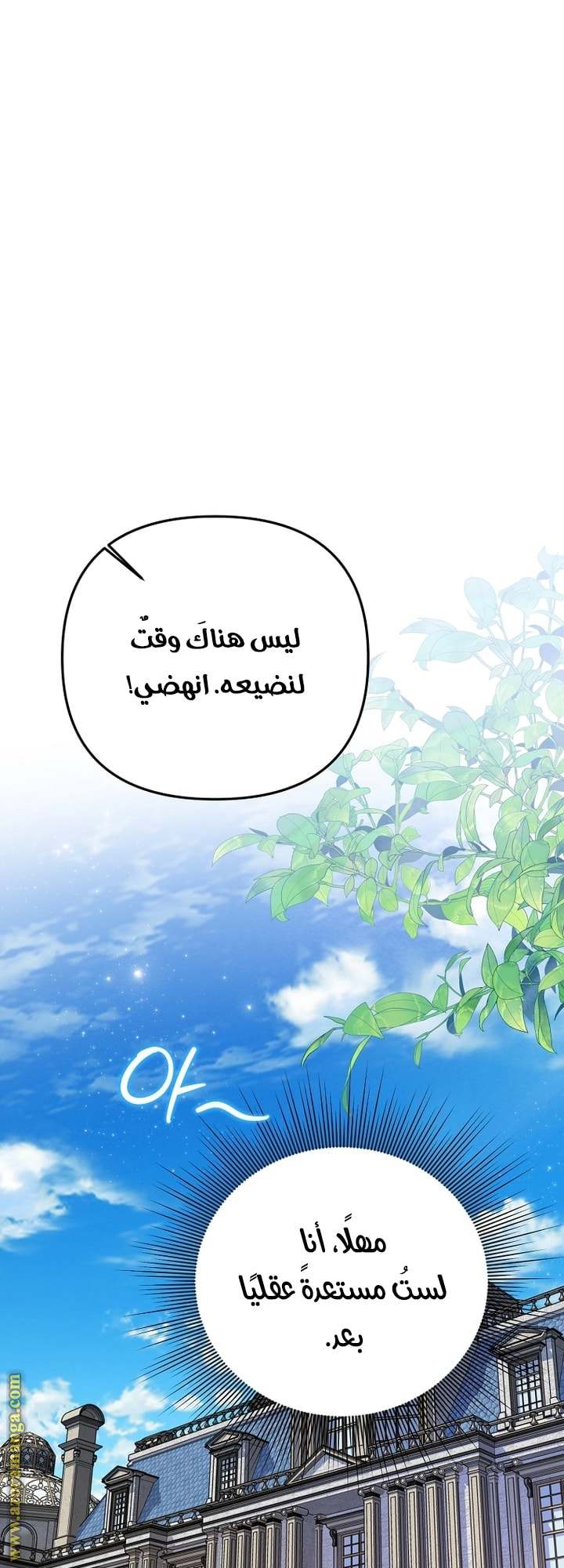 الصفحة 25