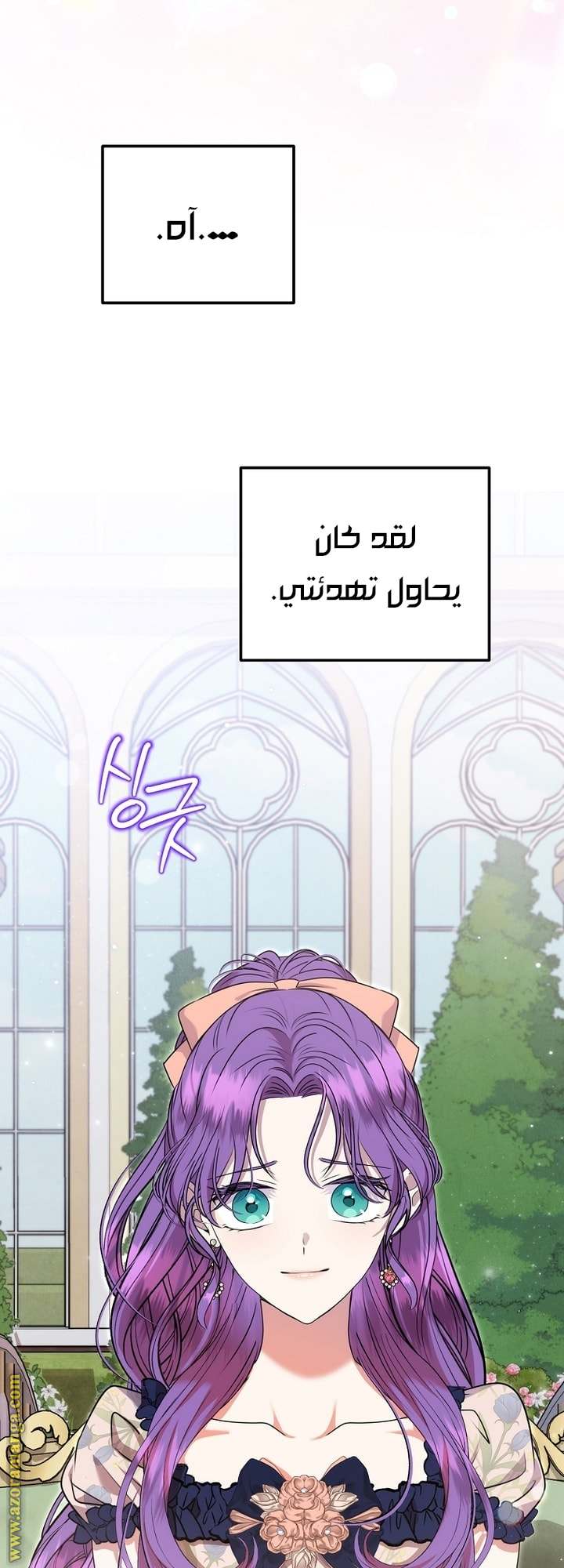 الصفحة 51
