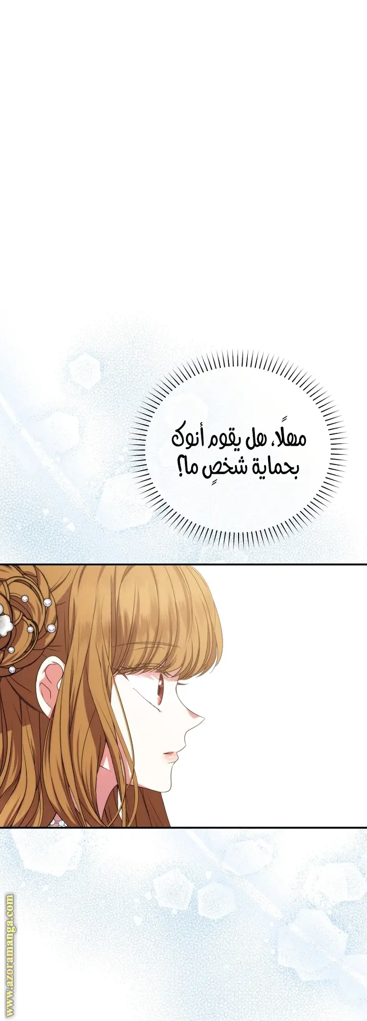 الصفحة 40
