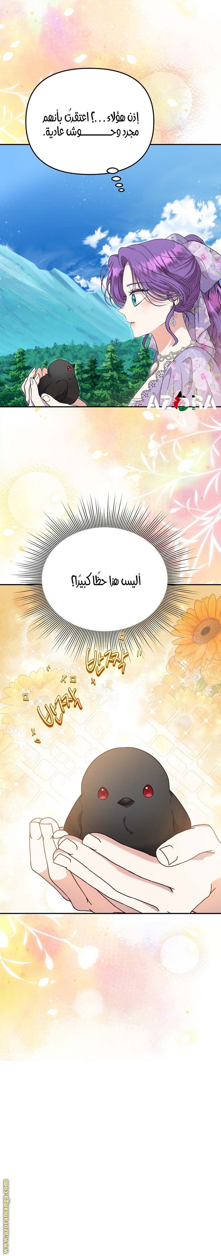 الصفحة 13