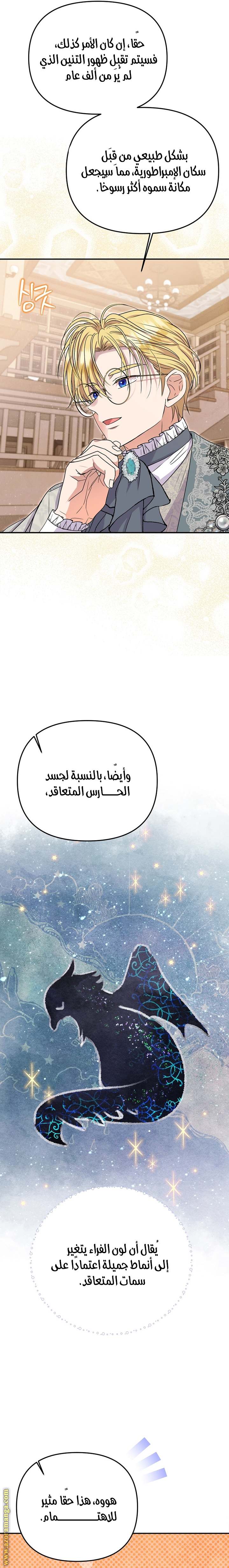 الصفحة 24