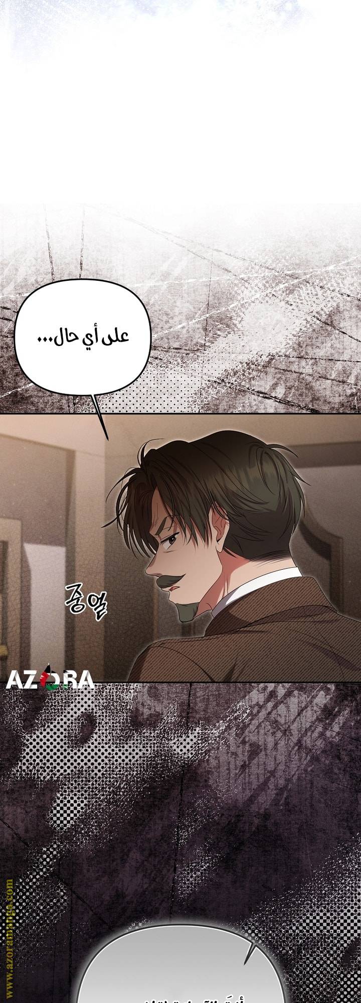 الصفحة 25