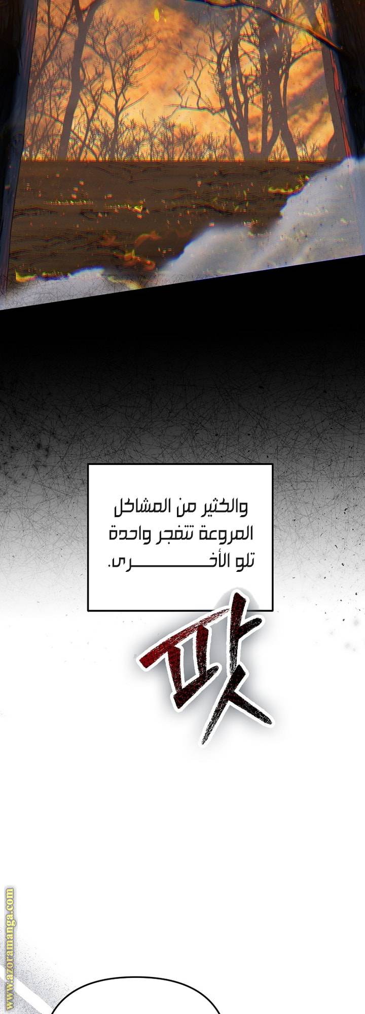 الصفحة 16