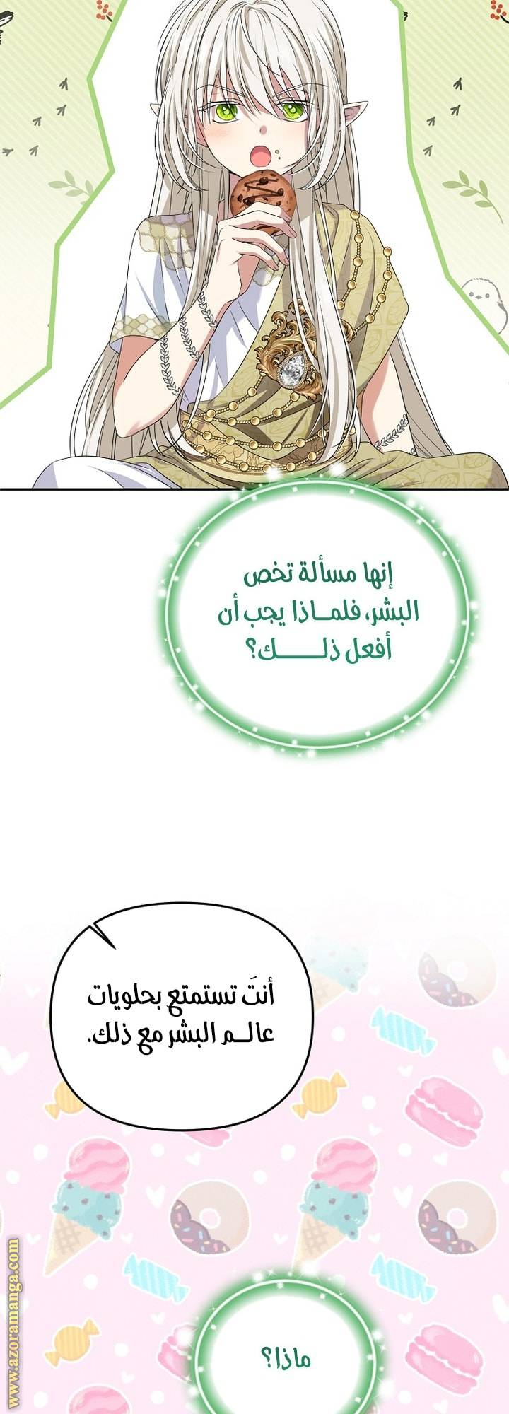 الصفحة 32