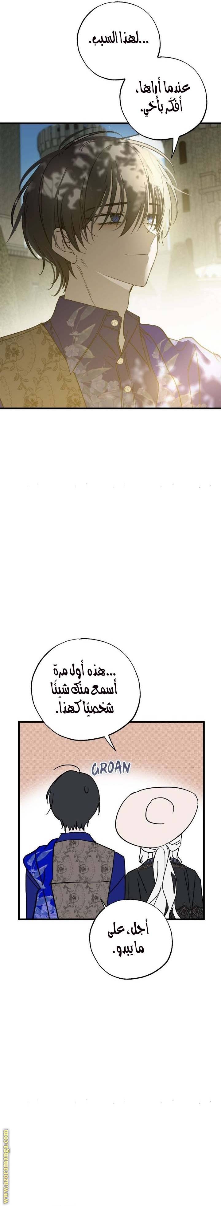 الصفحة 17