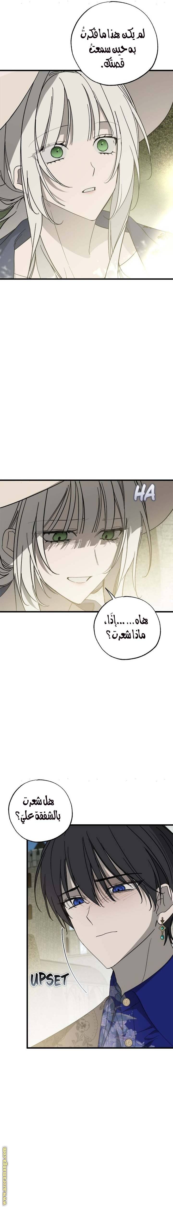 الصفحة 20