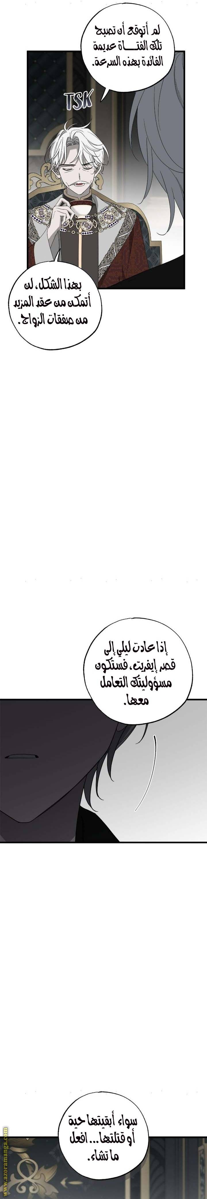 الصفحة 24