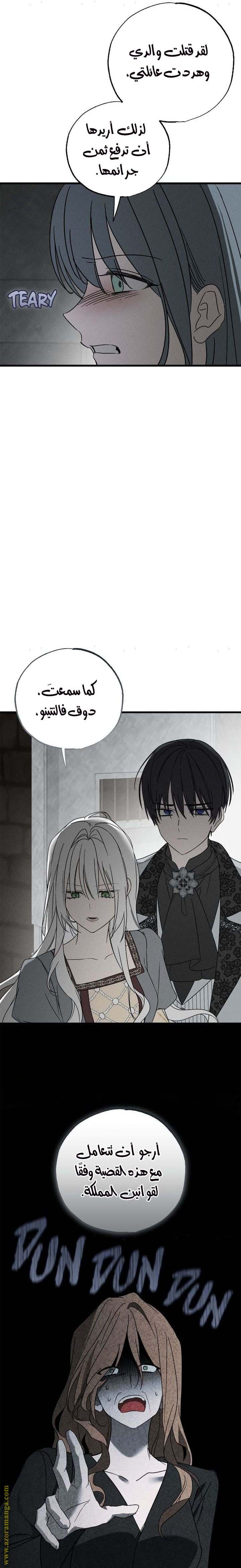 الصفحة 26