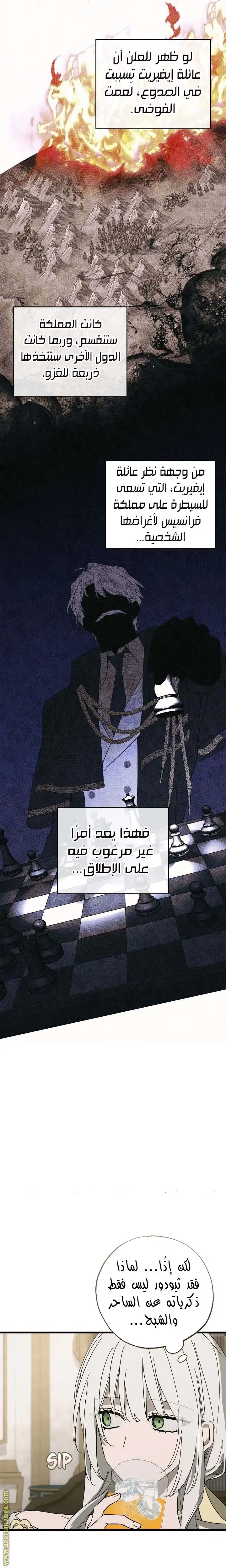 الصفحة 17