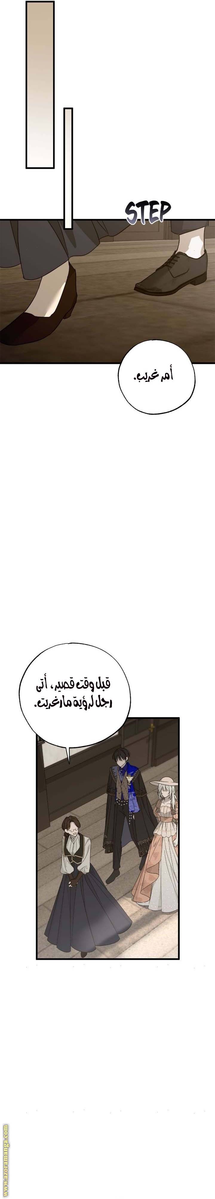 الصفحة 20