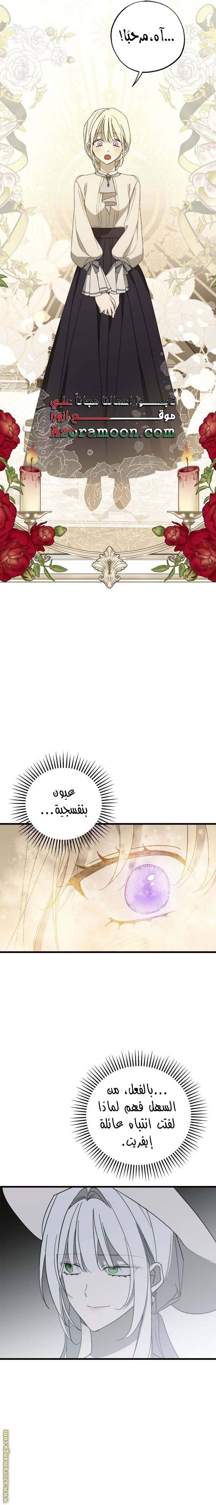الصفحة 24