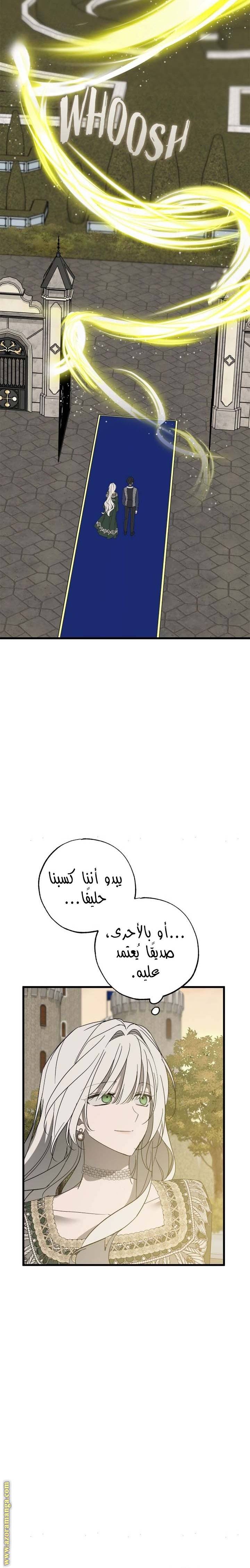 الصفحة 19