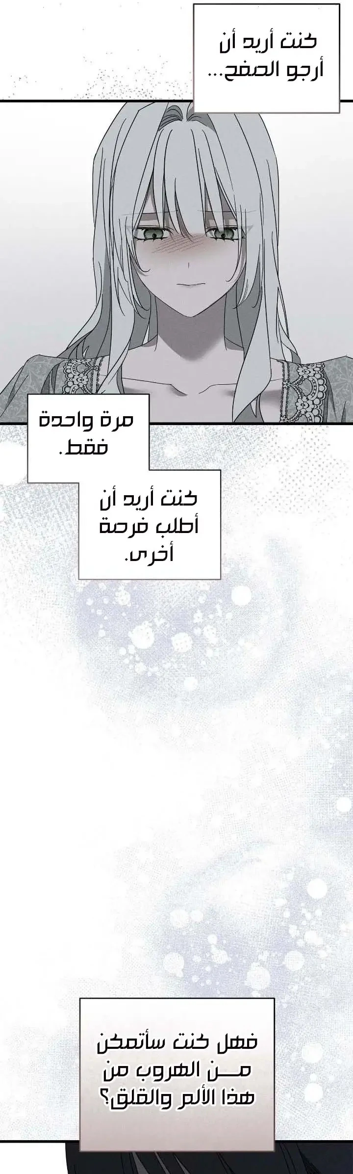 الصفحة 27