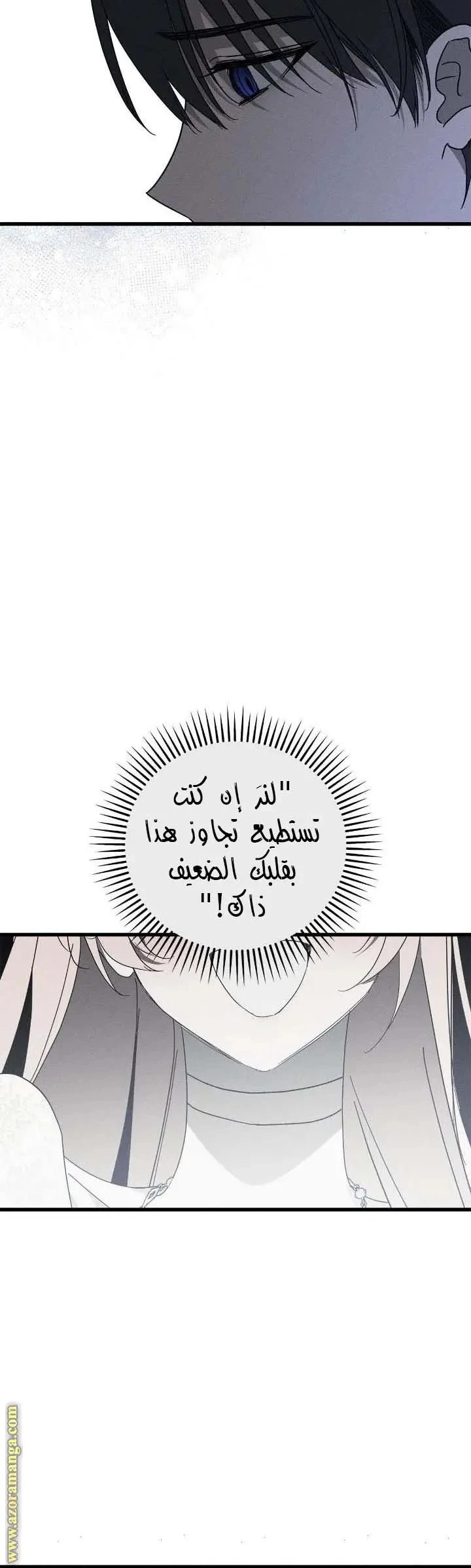 الصفحة 28