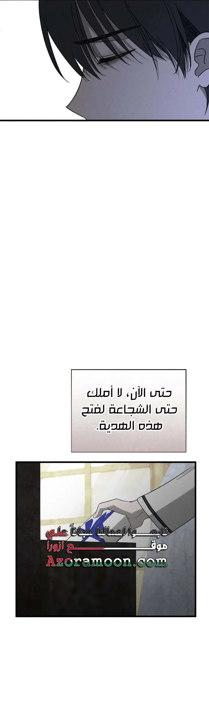 الصفحة 29