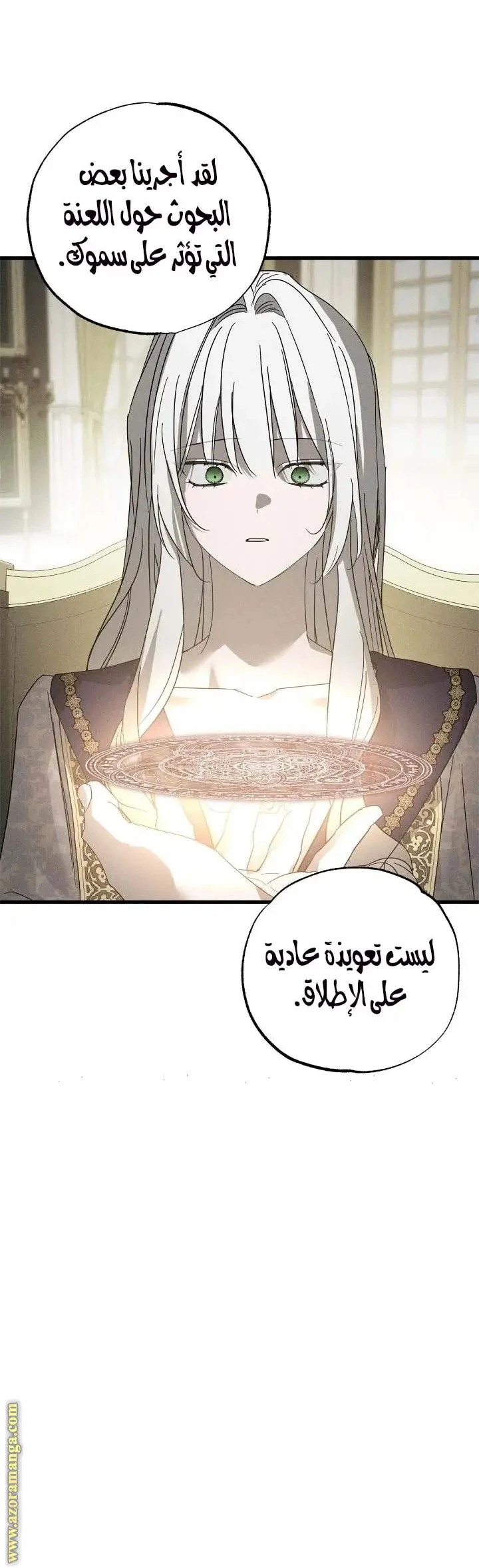 الصفحة 33