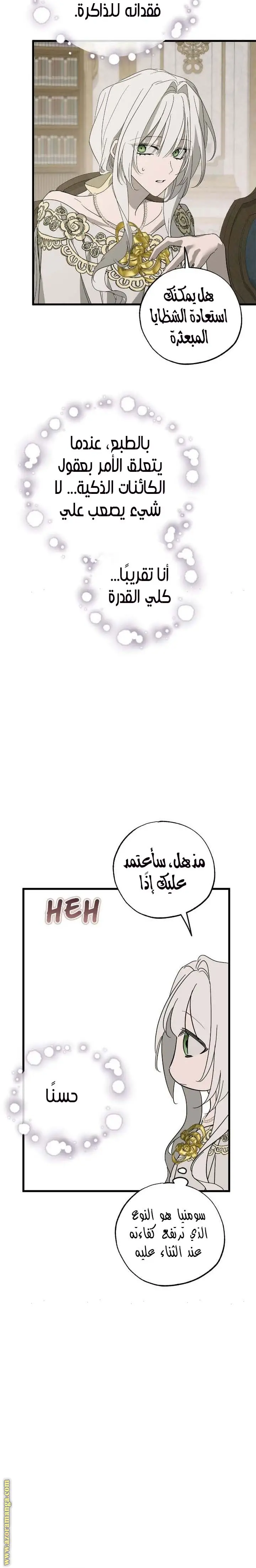 الصفحة 17