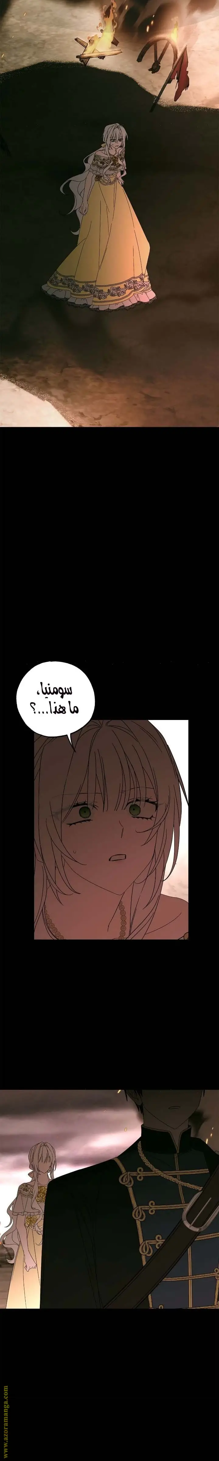 الصفحة 23