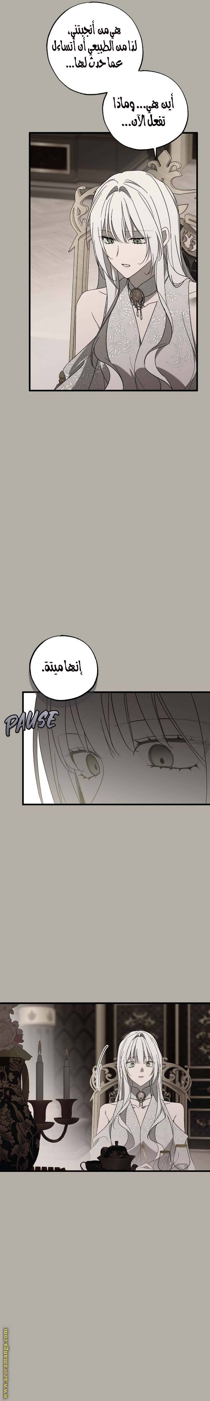 الصفحة 25