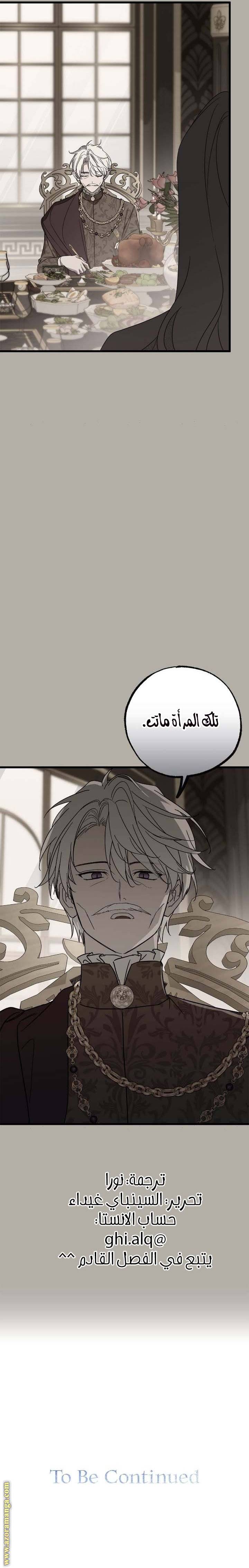 الصفحة 26