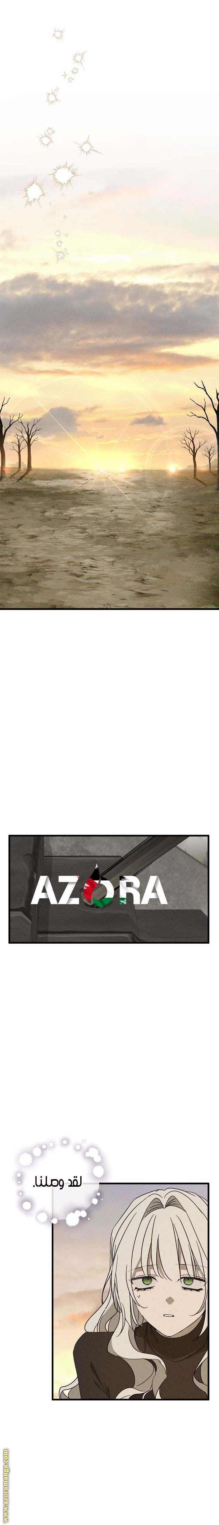 الصفحة 13