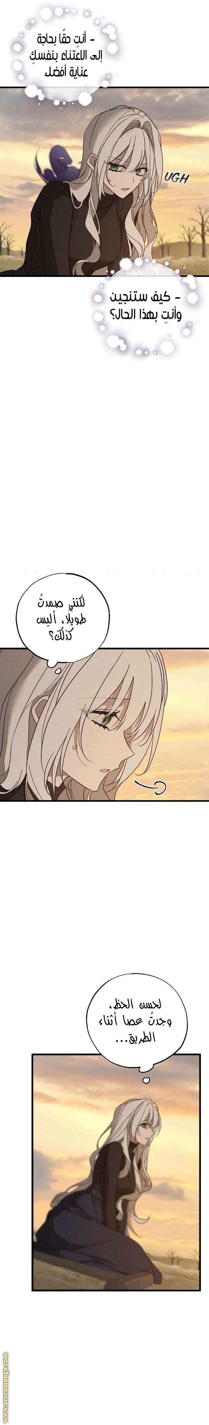 الصفحة 16