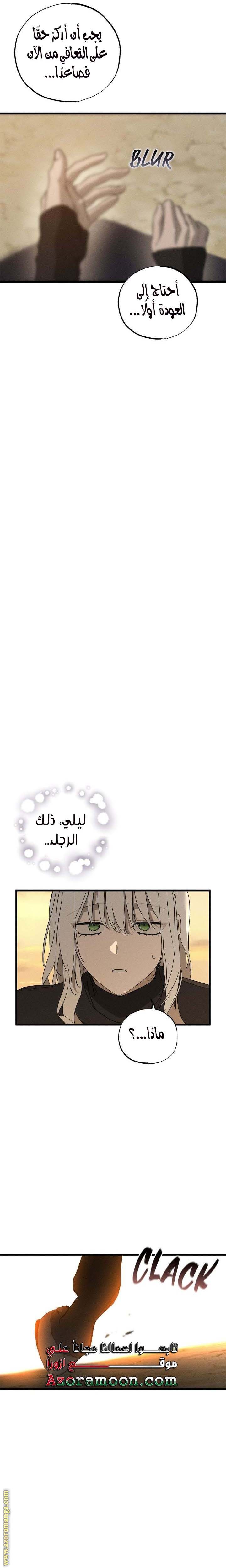 الصفحة 17