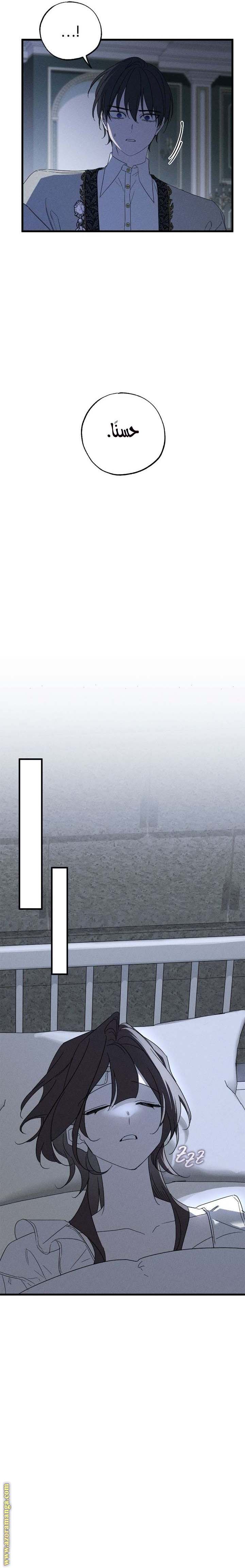 الصفحة 20