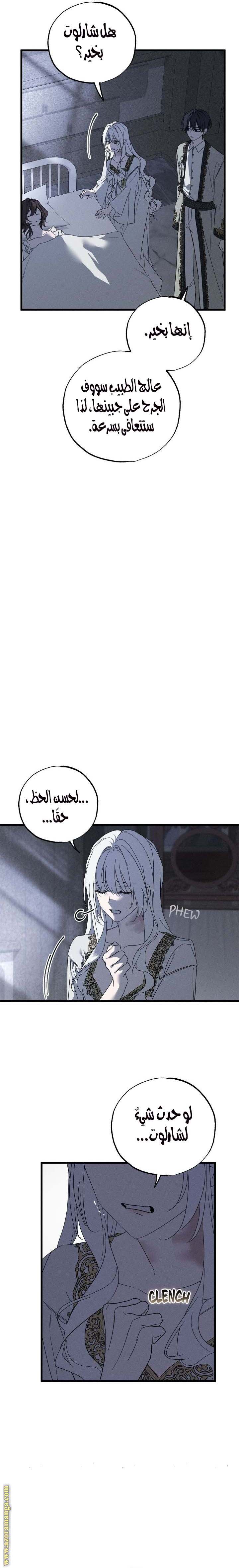 الصفحة 21